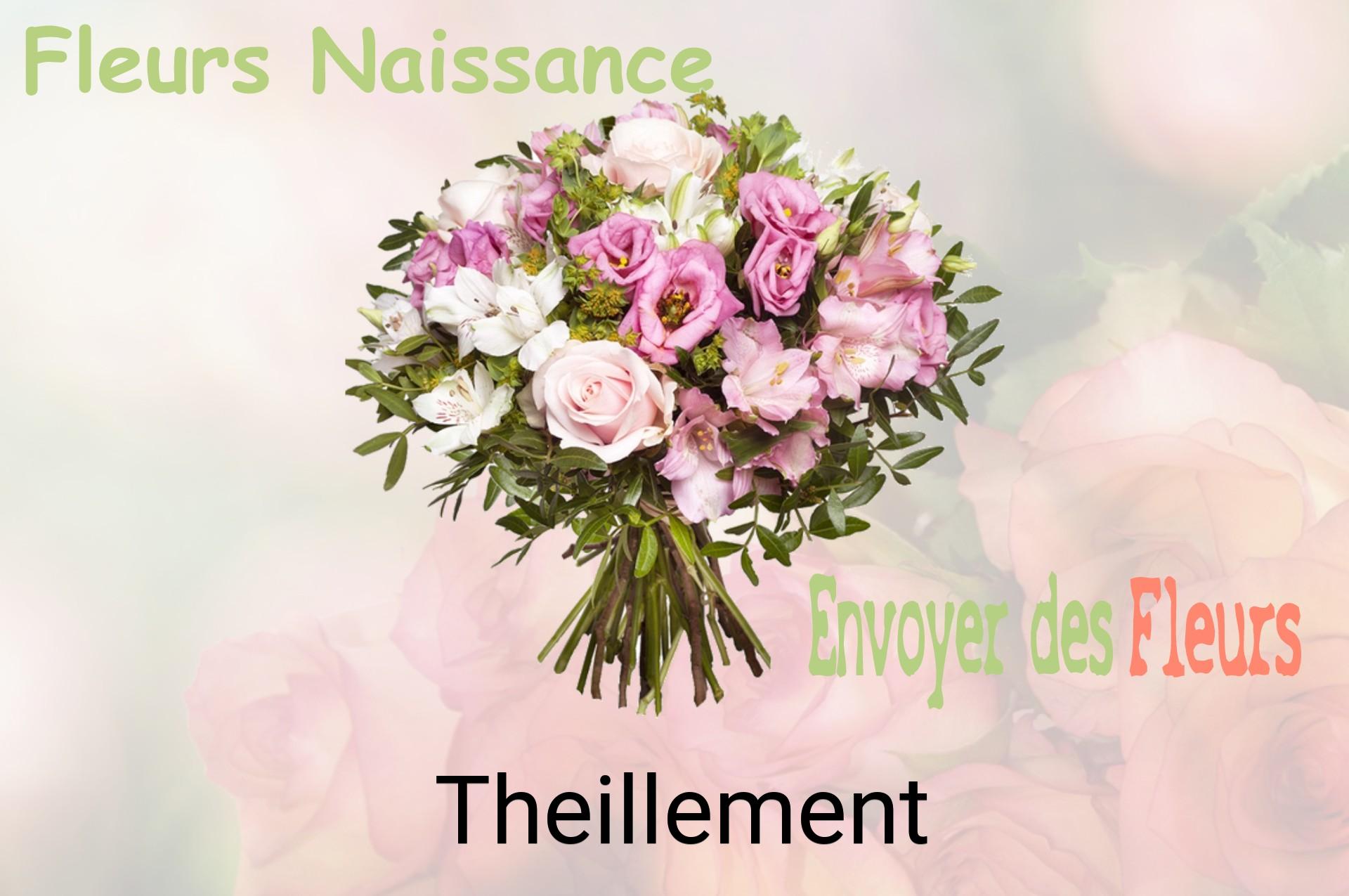 Bouquet de fleurs de naissance livré à Theillement